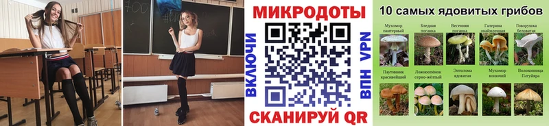 Галлюциногенные грибы MAGIC MUSHROOMS  Новая Ладога 